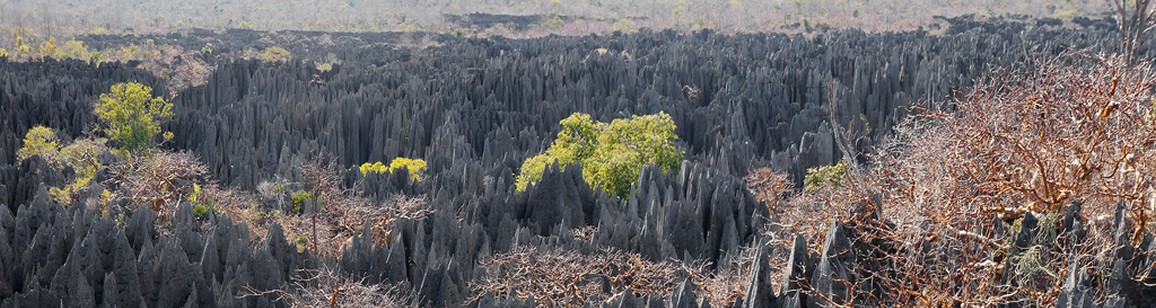 Adventure Tour 6N/7D - Madagascar Mozaic Tour