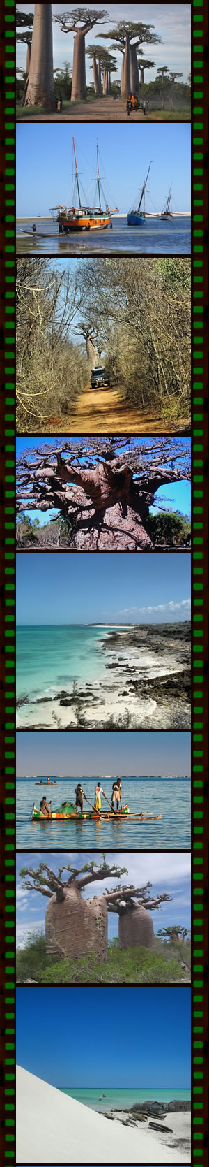 Expédition Plage et Baobabs